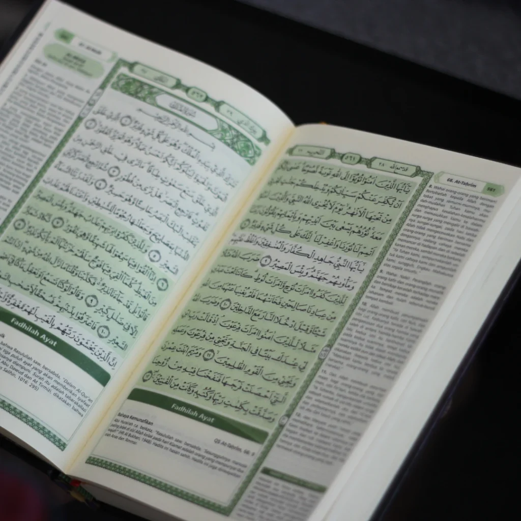 Quran Translation & Tafseer